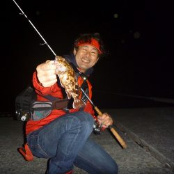 日没後に活性急上昇♪